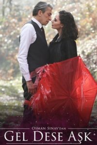 Если позовет любовь (Все серии, 2020)