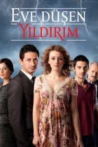 В дом упавшая молния (Все серии, 2012)