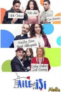 Семейное дело (Все серии, 2016)