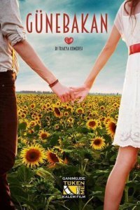 Подсолнух (Все серии, 2015)