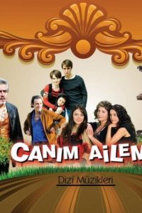 Дорогая моя семья (Все серии, 2008 — 2010)