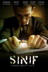 Школьный класс (Все серии, 2008)